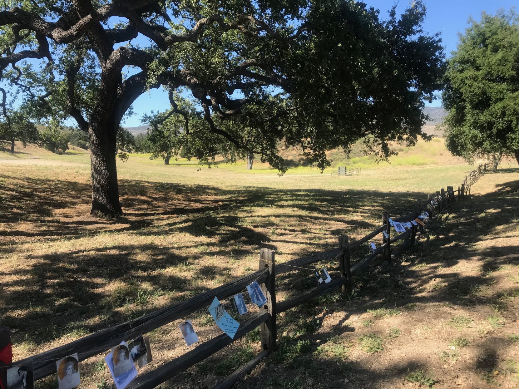 062719 MJ Ranch 2